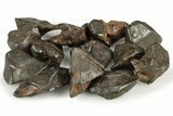 Canyon Diablo Iron Meteorites (8-10 grams) - Arizona - Photo 3